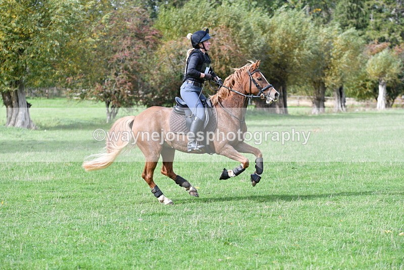 WJ5_0127 - Time 13:25 to 13:58