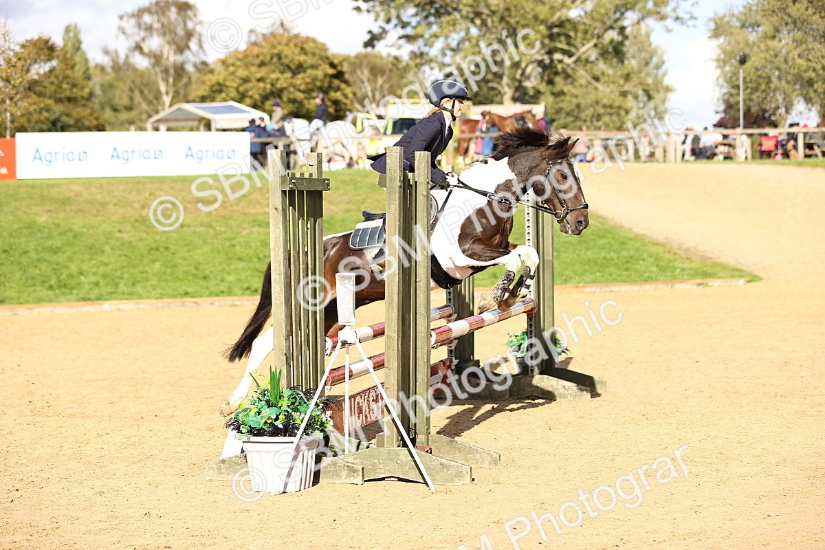 SBM_51319 - J10 - Junior Pony 75cm Championship