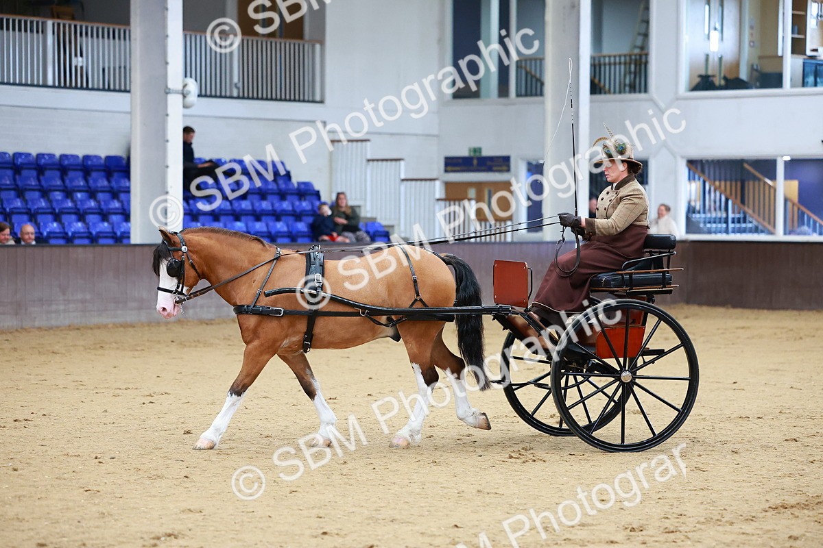 SBM_000131 - Class 3 - Alison Thomas Memorial Lady Whip