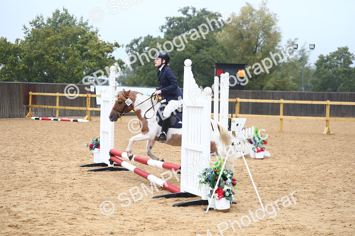 SBM_71775 - J4 - Mini Tour Junior Pony 45cm Championship