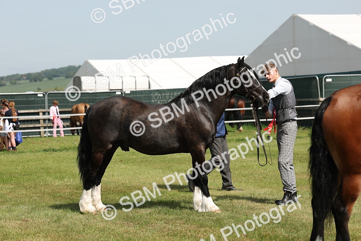 SBM_02351 - Class 6-13 - Mountatin and Moorland In Hand Welsh Breeds