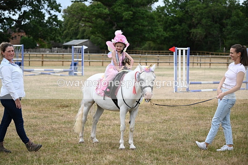 WJ6_5004 - Class 11 Fancy Dress