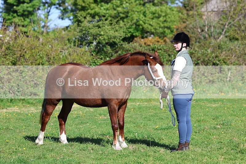 3E7A8632 - Class 13: M & M Large Breeds