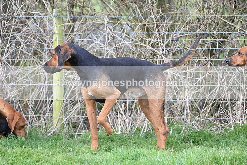 WJ7_6396 - Meet