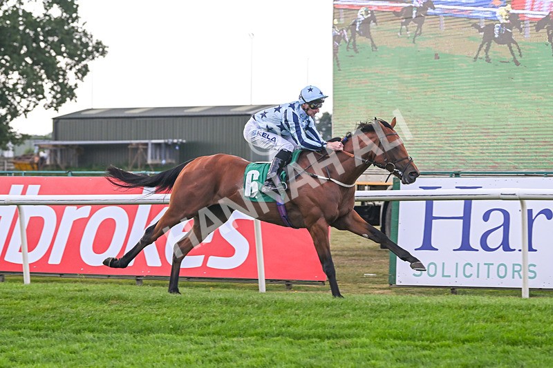 150825-Race 2-Hasbro Market-2545 - Race 2