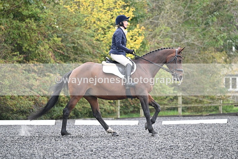 WJ7_4085 - Time 11:43 to 12:09