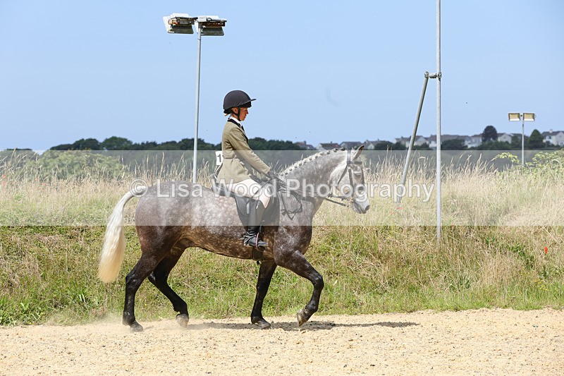 1X9A8779 - Class 19: Riding Club Horse