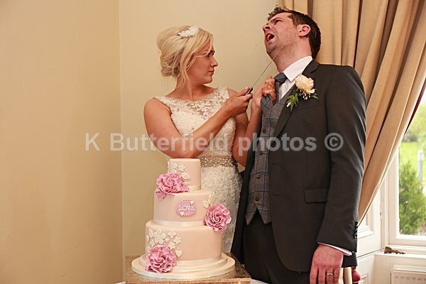 435 - Brian and Nikita Wedding