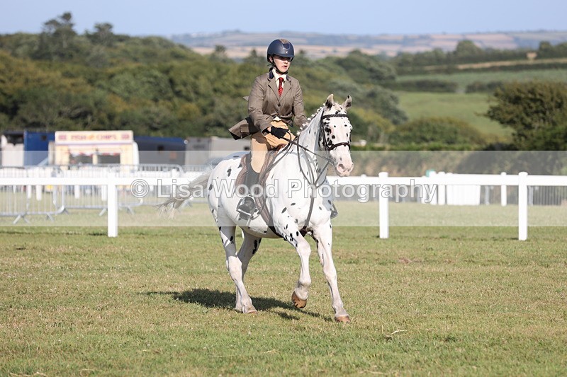 JPP_3169 - Class 21: Working Hunter 80cm