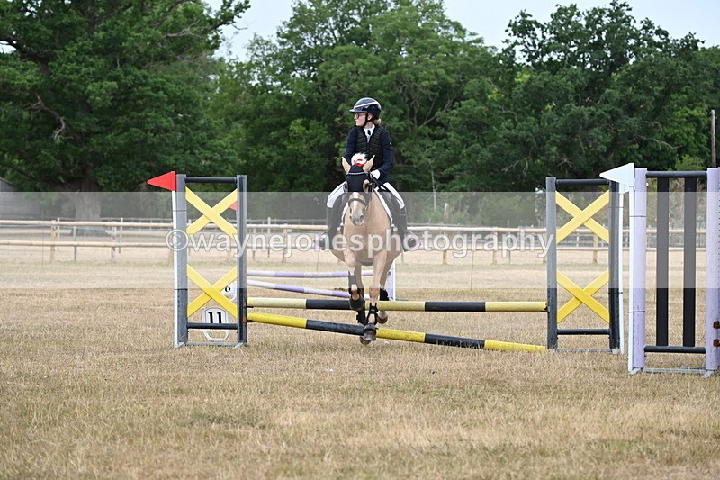WJ6_9922 - Class 13 Novice Jumping 60cm