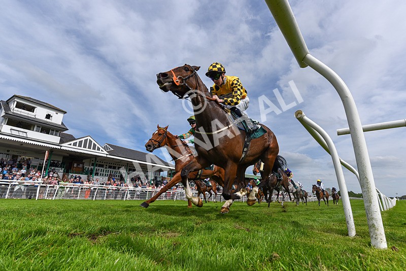 130524-Race 5-Sherdil-5415 - Race 5