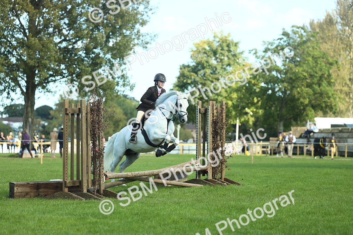 SBM_39221 - S29 - Novice & Newcomers Working Hunter Pony