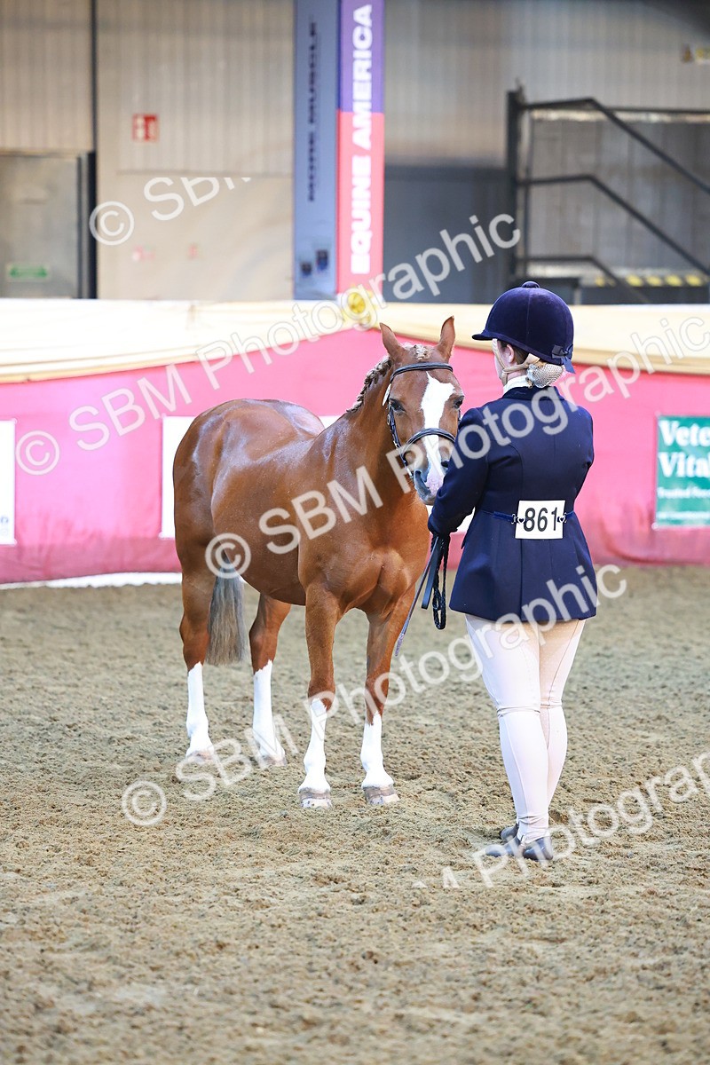 SBM_14714 - Class B - Junior Champ 11 to 16 Years