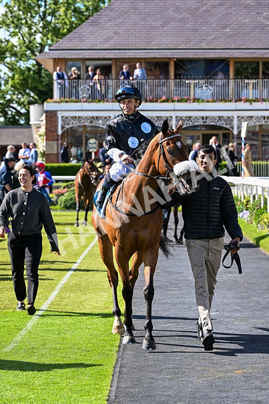 120626-Race 6-Rotokura Belle-8370 - Race 6 16.45pm Dawson Williamson Architects Handicap