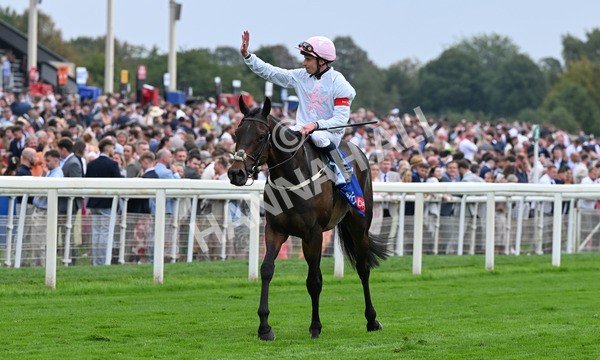 230825-151 Ethical Diamond - Race 4 3.35pm Sky Bet Ebor Handicap