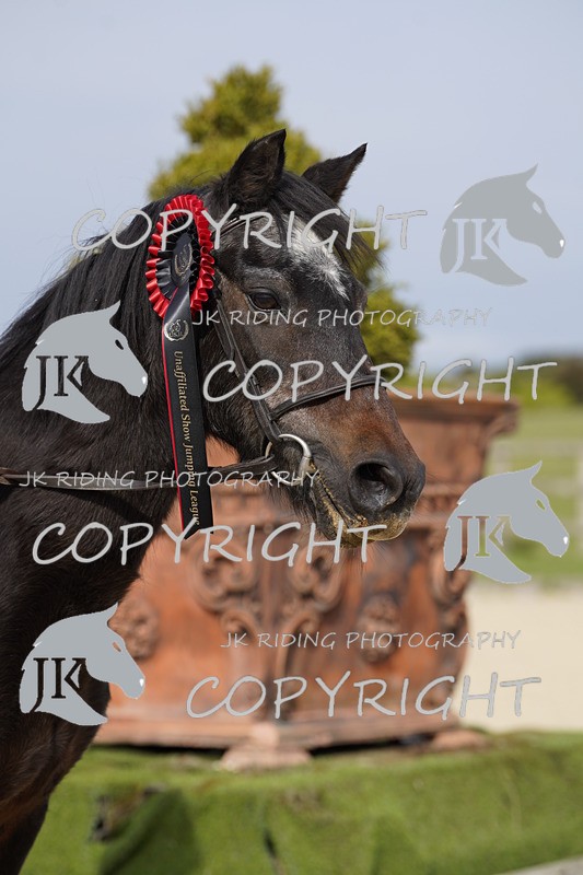 _DSC0150 - Mini Pairs