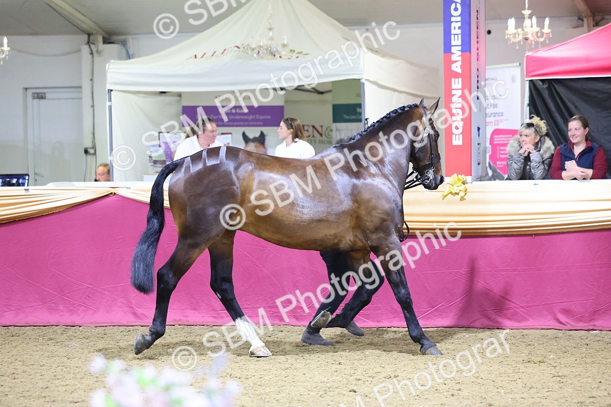 0B8A4553 - Class P Veteran Champ