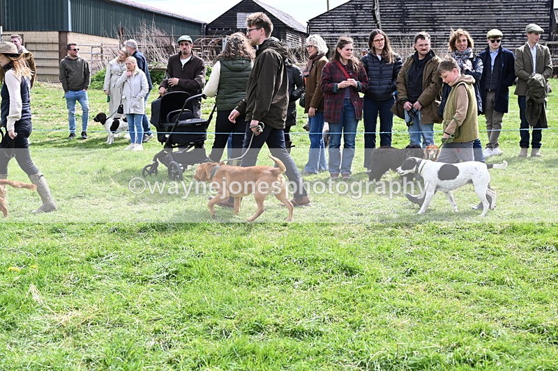 WJ6_8236 - Class 4 Prettiest Bitch