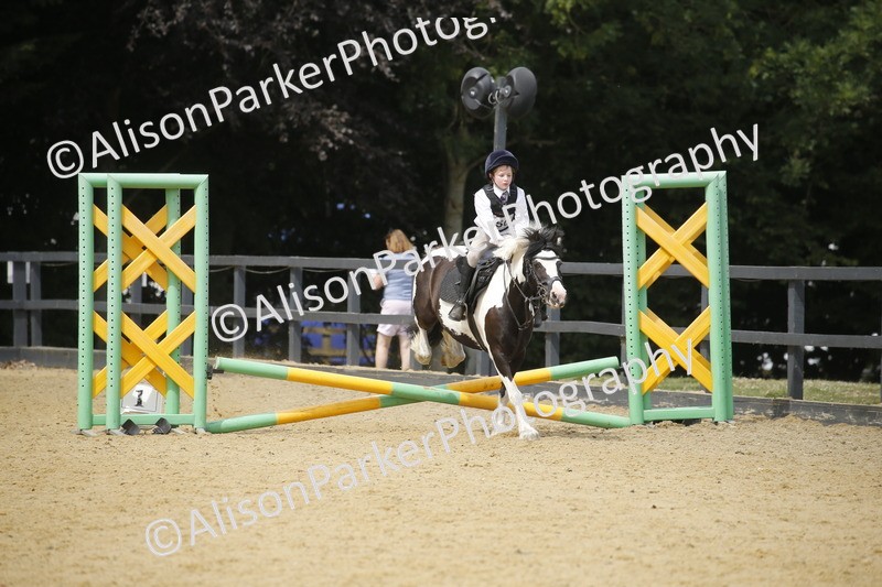 20250622-4624 - 50cm