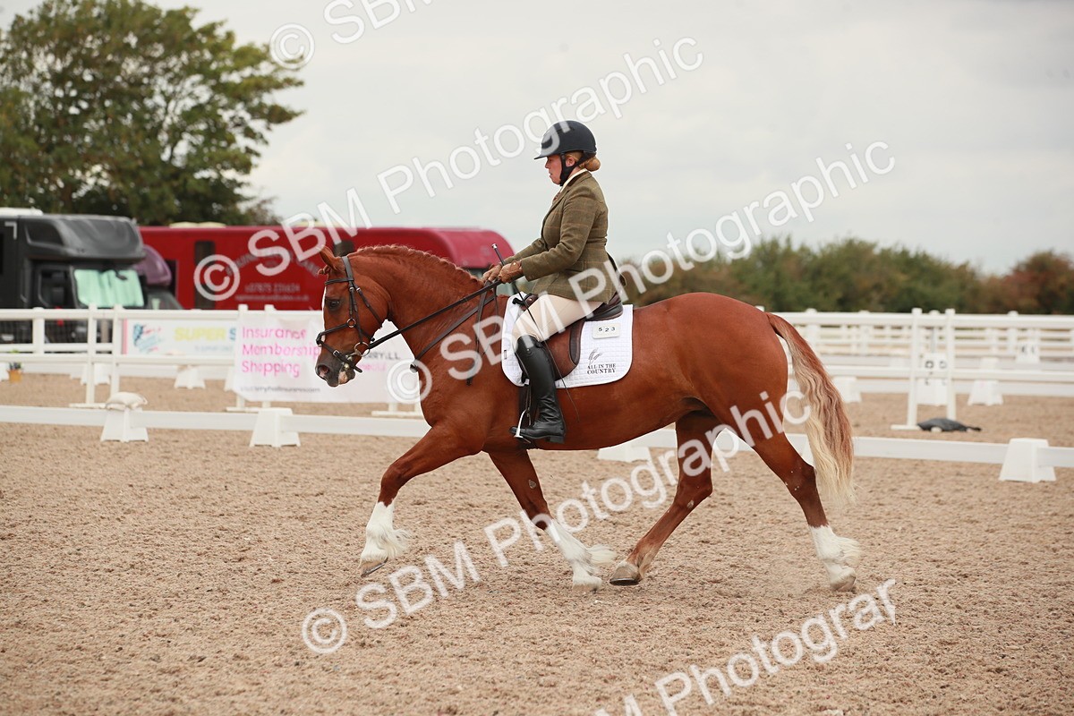 SBM_06091 - Class 33 - Elementary 1