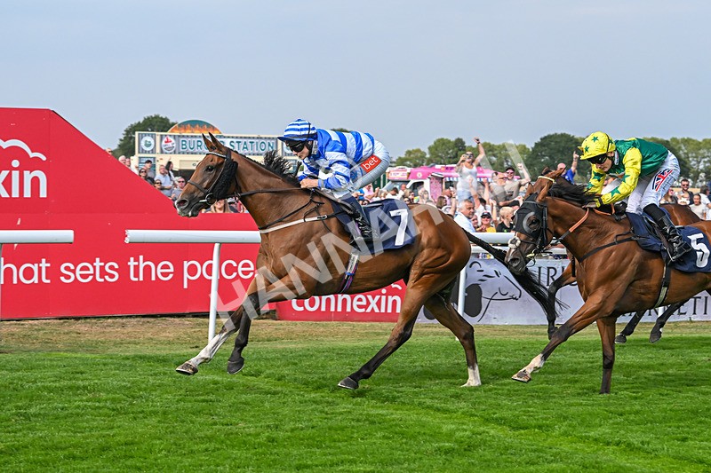 240825-Race 5-This Years Love-3429 - Race 5