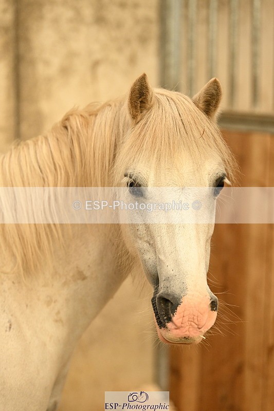 240809A-084641-00008 - Stable Shots