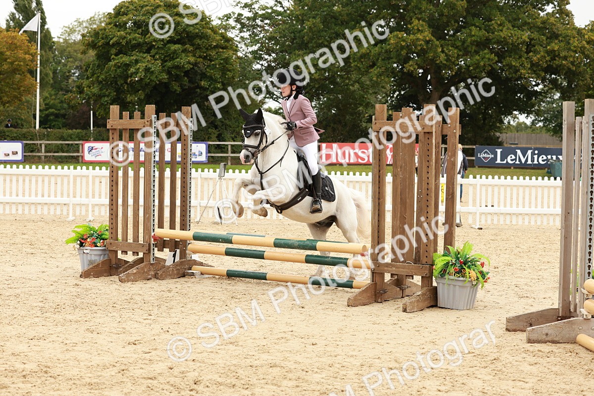 SBM_65224 - Supreme Championship 50cm & 55cm