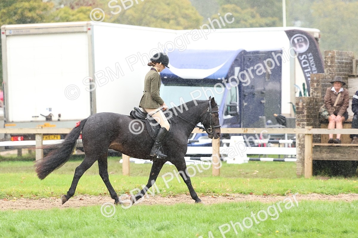 SBM_69708 - S62 - Mountain & Moorland Ridden Large Breeds