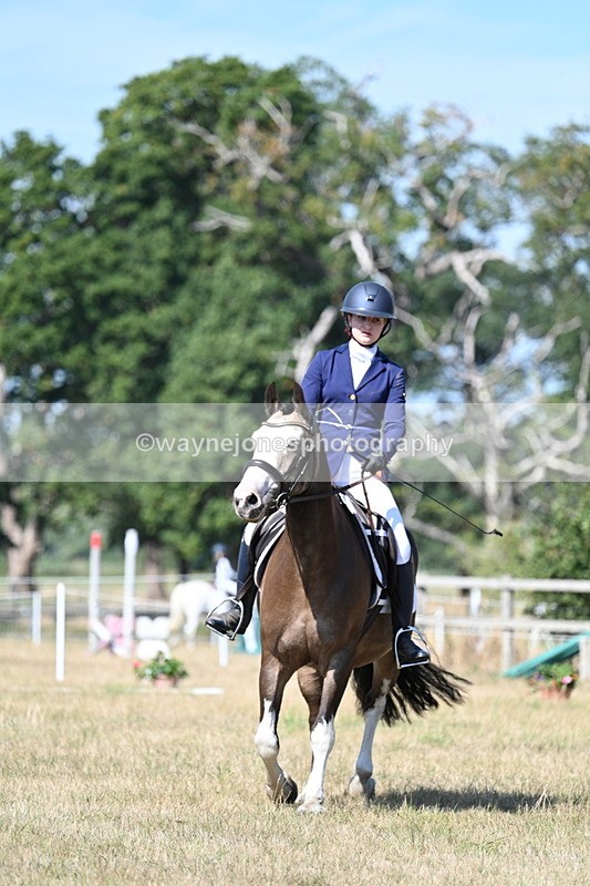 WJ7_0102 - Time 11:03 to 11:28