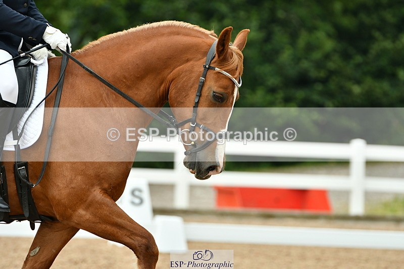 230708A-113134-01103 - Novice 23