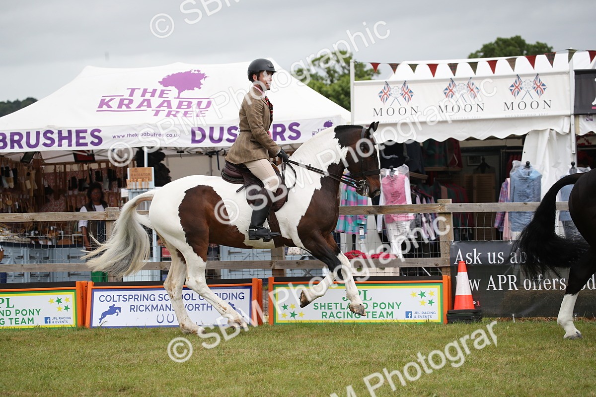 SBM_11317 - Class 92-93 - LIHS BSHA Rising Star Cobs