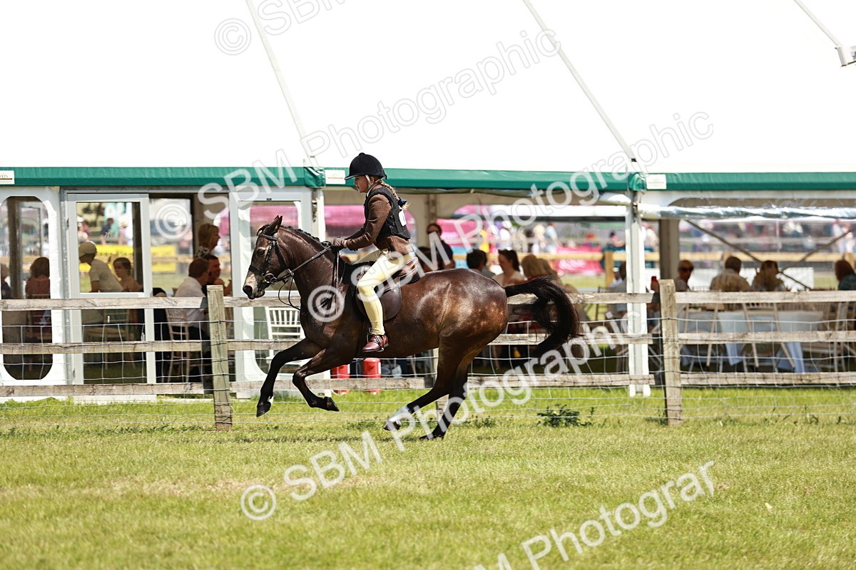 SBM_15800 - Class 108-109 - BSPS LIHS Open Gradle & Nursery Stakes