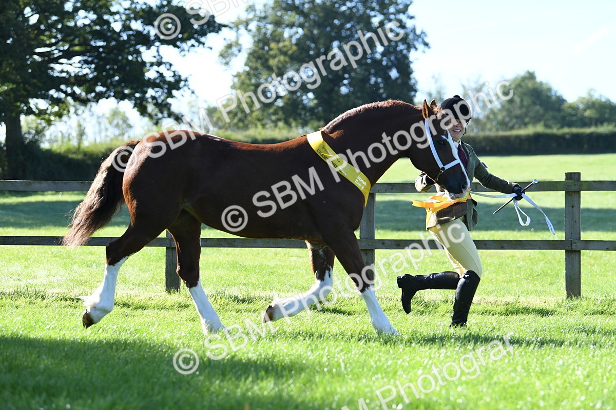 SBM_35555 - Top Turnout Supreme Championship