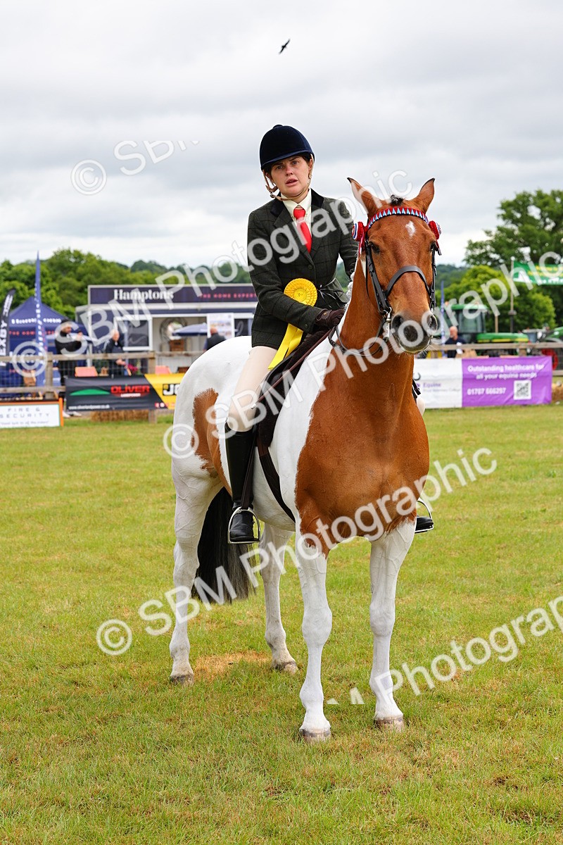 SBM_02560 - Class 9-11 Side Saddle including LIHS Rising Star Ladies Show Horse