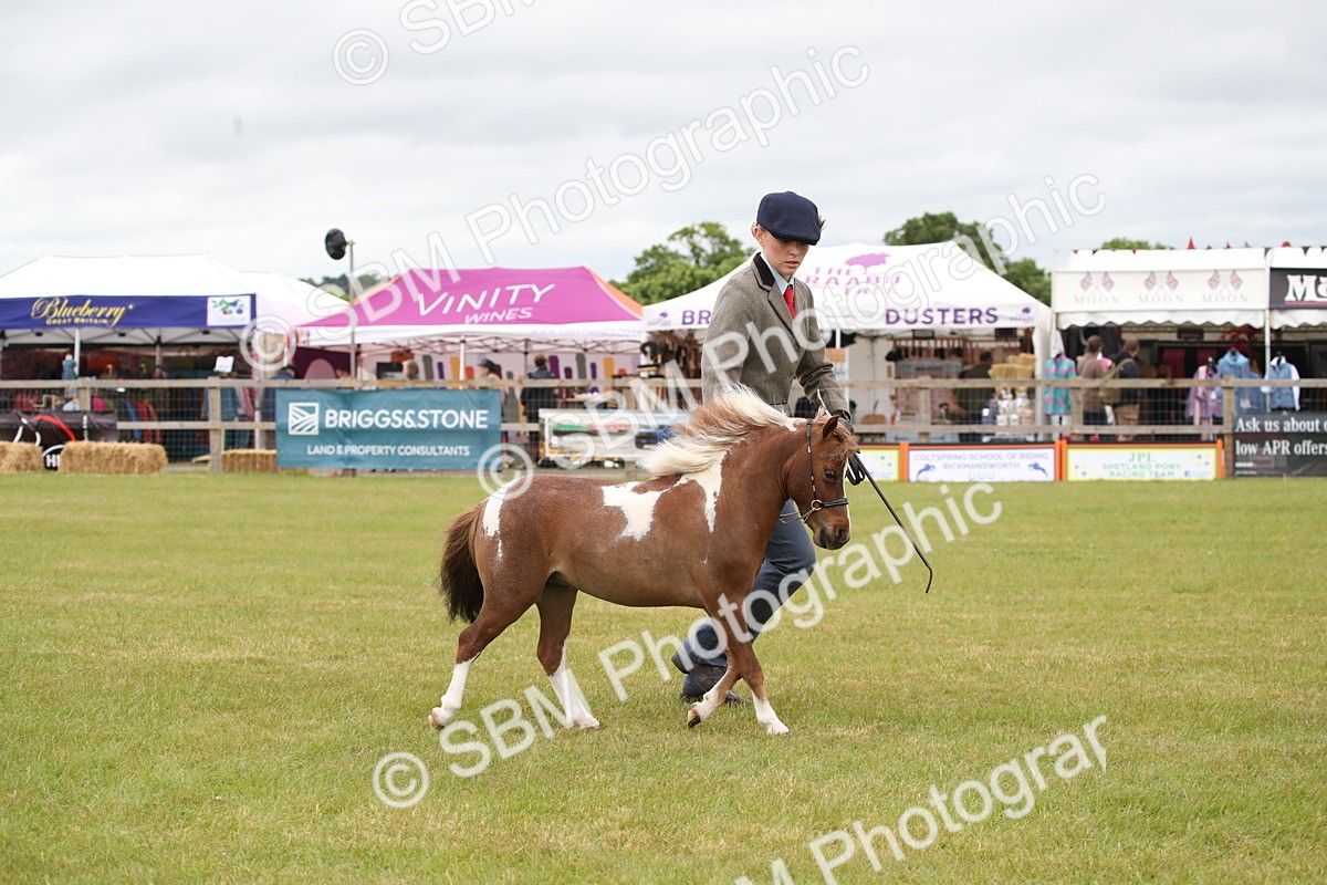 SBM_03507 - Class 23-25 - British Miniature Horse of the Year