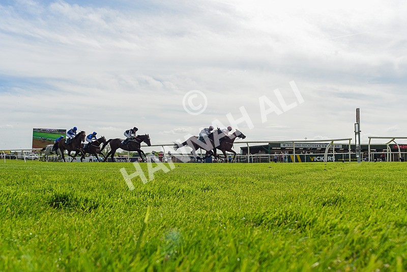 130524-Race 3-Animato-9391 - Race 3