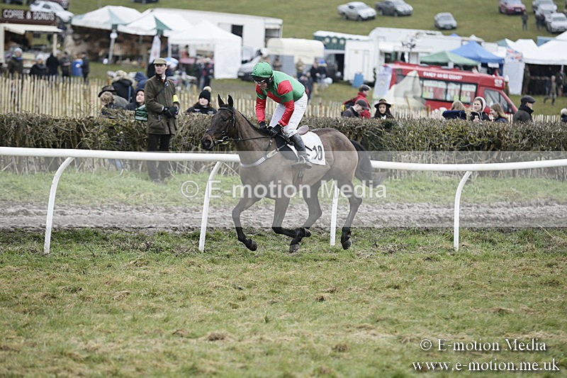PtP 020418 -509 - Old Berks Point-to-Point Races Easter Monday 02/04/18