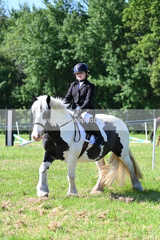 WJ7_0338 - Class 8 First Rally Pony