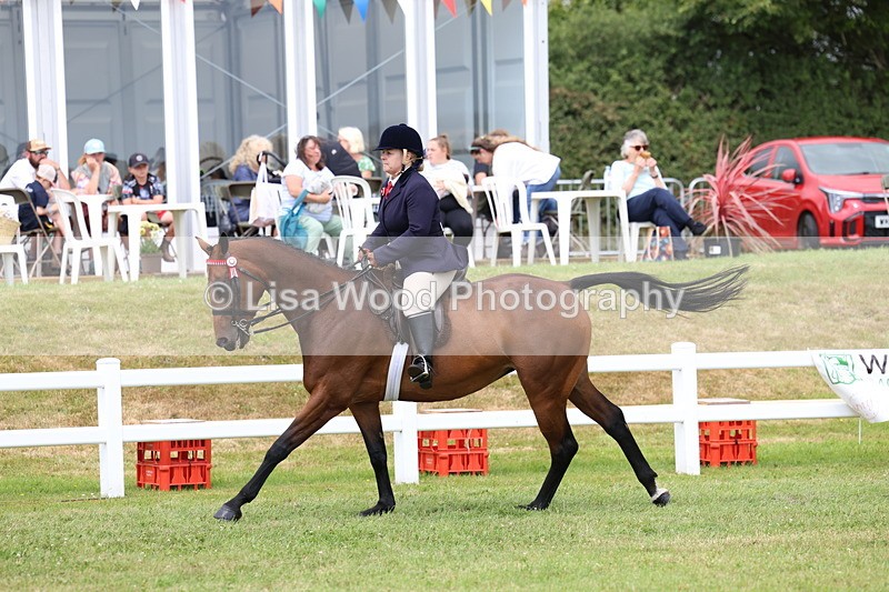 3E7A0935 - Class 8: Open Riding Horse/Hack