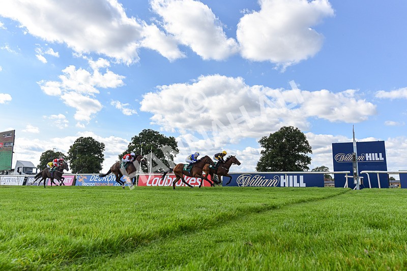 020825-Race 6-Big Leader-8223 - Race 6