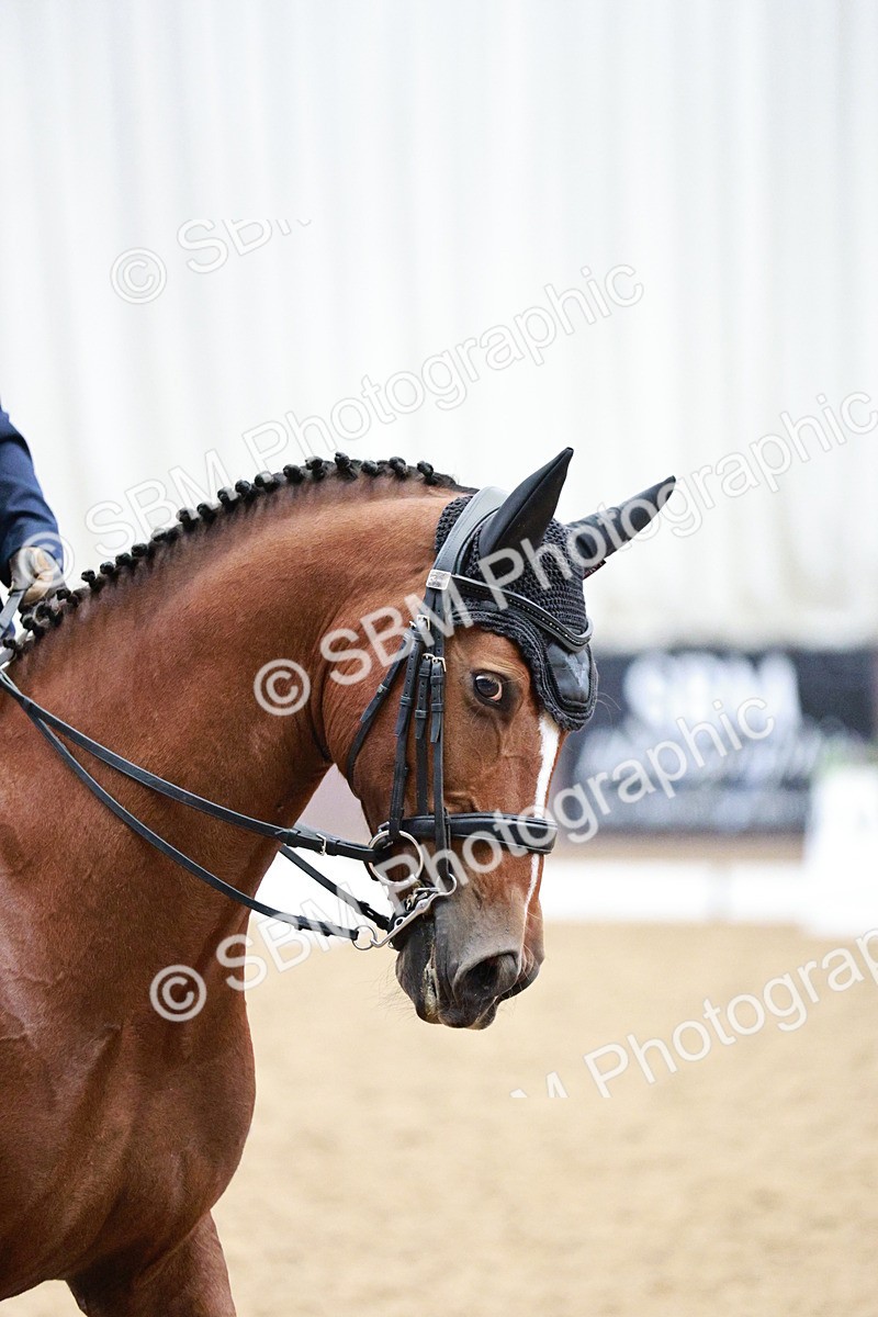 SBM_003861 - Class 8 - Elementary FSM - 16.20-17.00