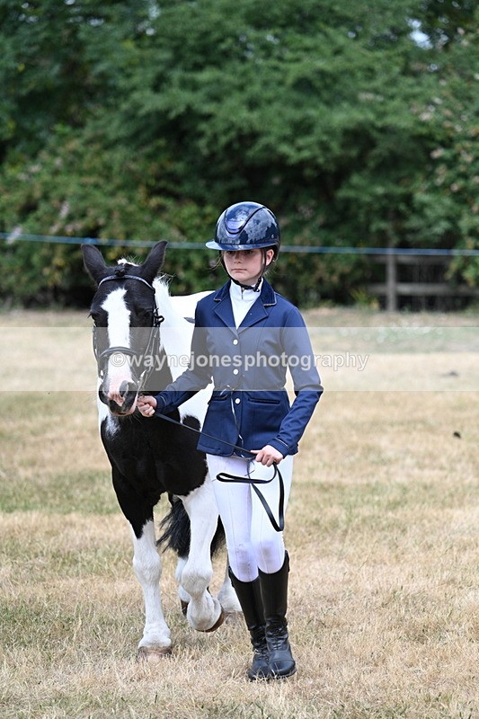 WJ7_1682 - Class 4 Prettiest Mare up to 14.2hh in hand