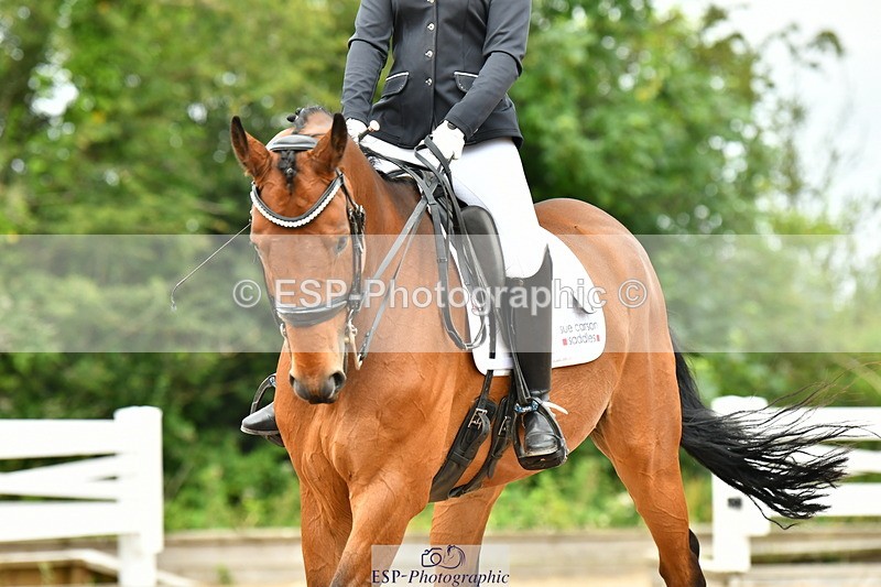 230701A-121936-06047 - Cls 8 Elementary 57