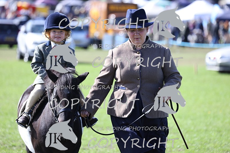 APP_3908 - Class 13 Lead rein