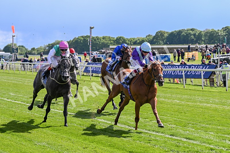 140526-Race 4-See The Fire-5169 - Race 4 3.30pm Al Basti Equiworld Dubai Middleton Fillies' Stakes