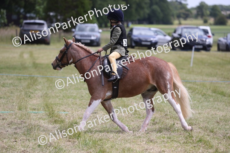 20260614-2052 - Class 21 - Novice Working Hunter Pony