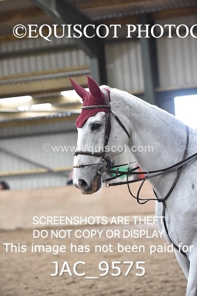 JAC_9575 - CLASS 9 ARENA EVENTING BE 1M