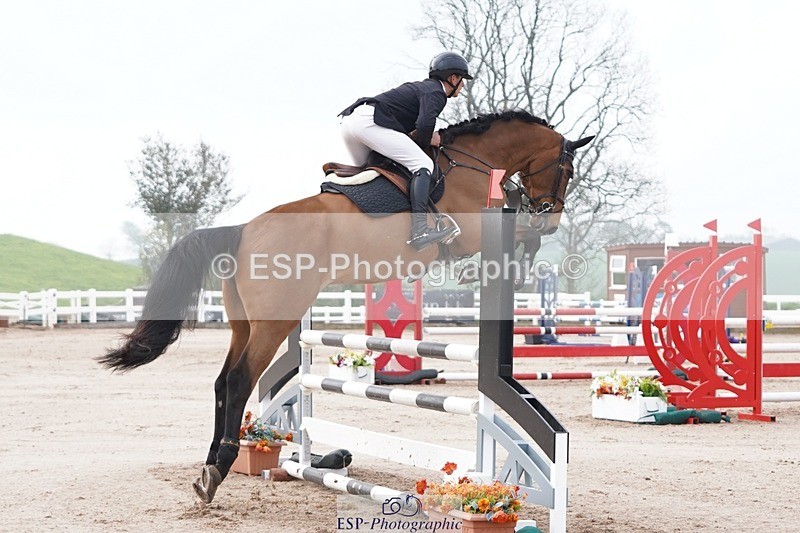 250425-085528-08260 - Cls 26 Young Horse 5yr old