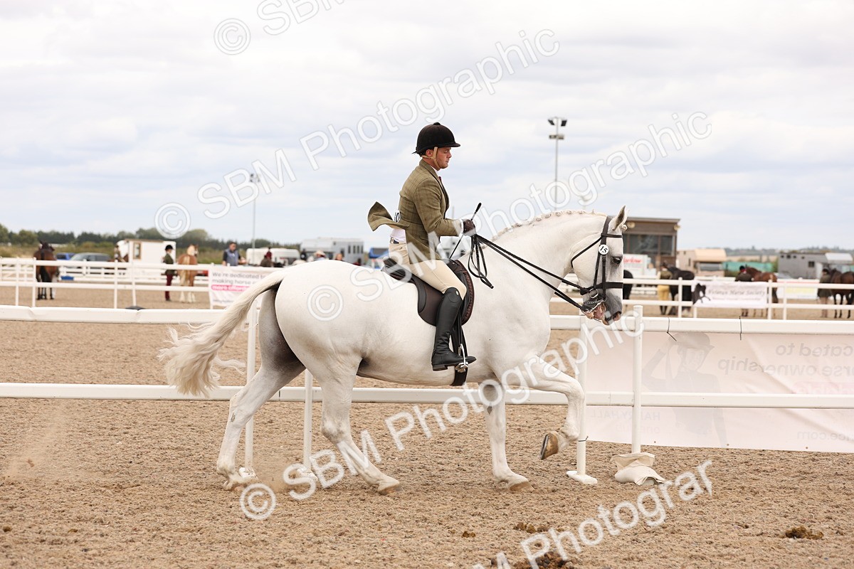 SBM_17205 - Class 213 - Ridden Hunter - Large