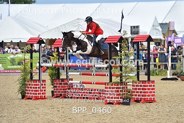 BPP_0460 - RHS 2019 Selection - *Just some random spectator shots so Lucky Dip if you are there!
